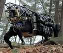 BigDog is Watching You! The Sci-fi Future of Animal and Insect Drones BigDog is Watching You! The Sci-fi Future of Animal and Insect Drones