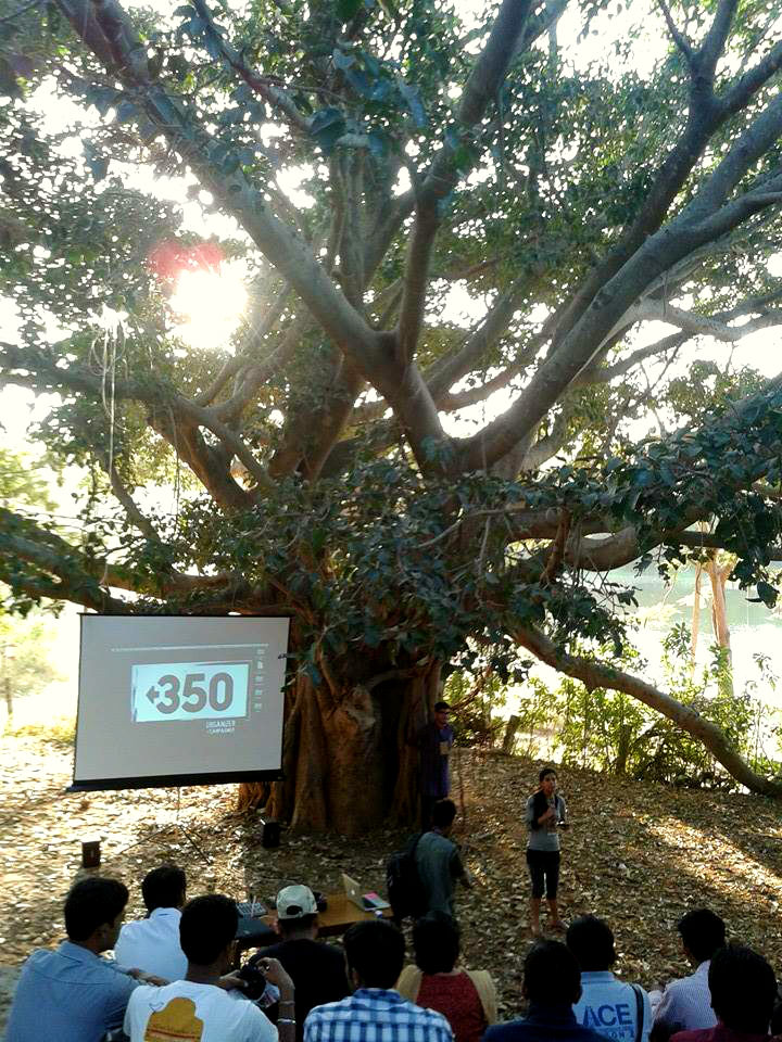 Banyan Tree