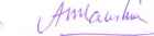 Kaushik Signature