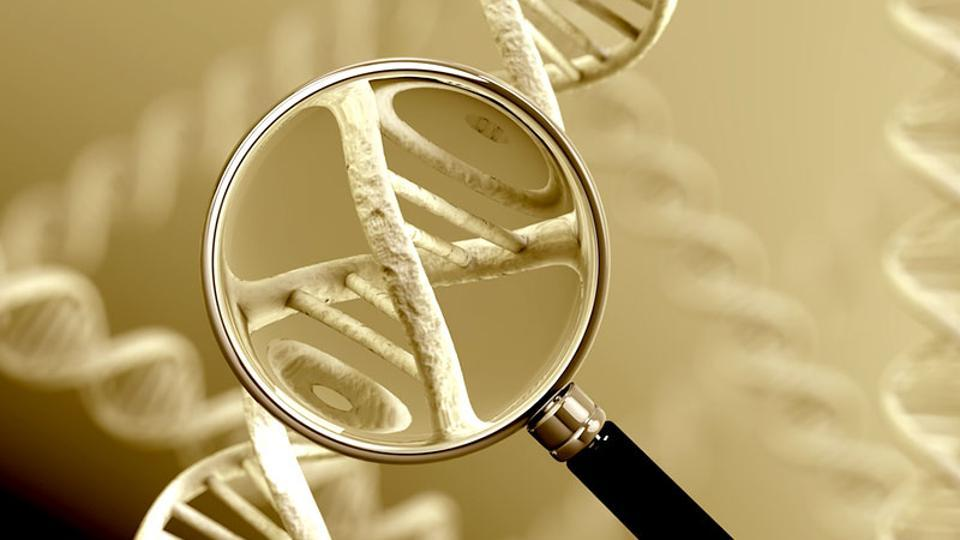 Here’s why we need a lot more discussion on India’s new DNA Profiling Bill