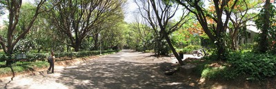 The campus of the Indian Institute of Science