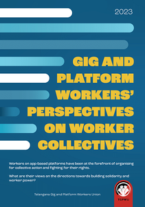 Gig and platform workers’ perspectives on worker collectives